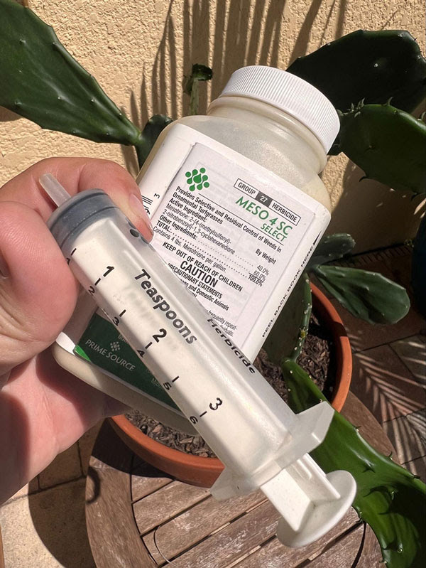 Is Tenacity (Mesotrione) Pre-Emergent Recommended when Seeding Your Lawn?   Yard Mastery